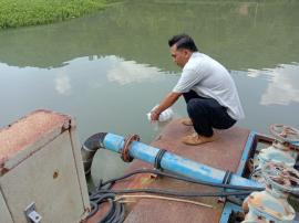 TEBAR BENIH IKAN DI EMBUNG DAN KALI OYA KALURAHAN KARANGSARI